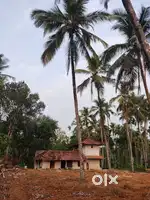 10 cent plot for sale near kavanoor,manjeri