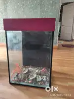 Fish tank in Excellent Condition.
