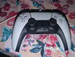 Sony Dual Sense