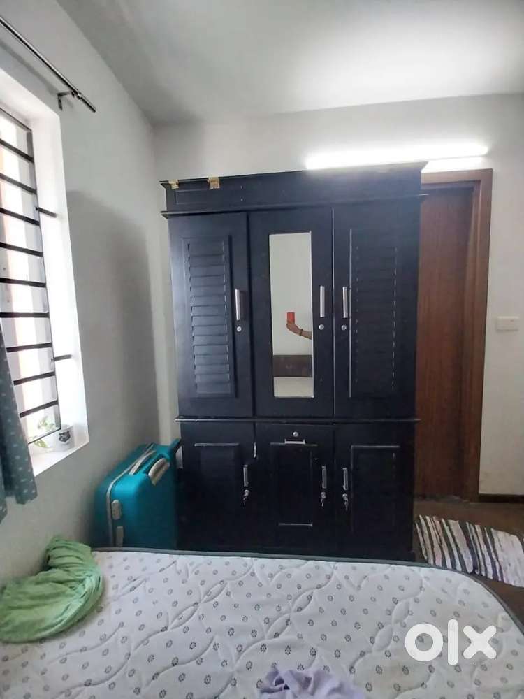 Multi wood almirah