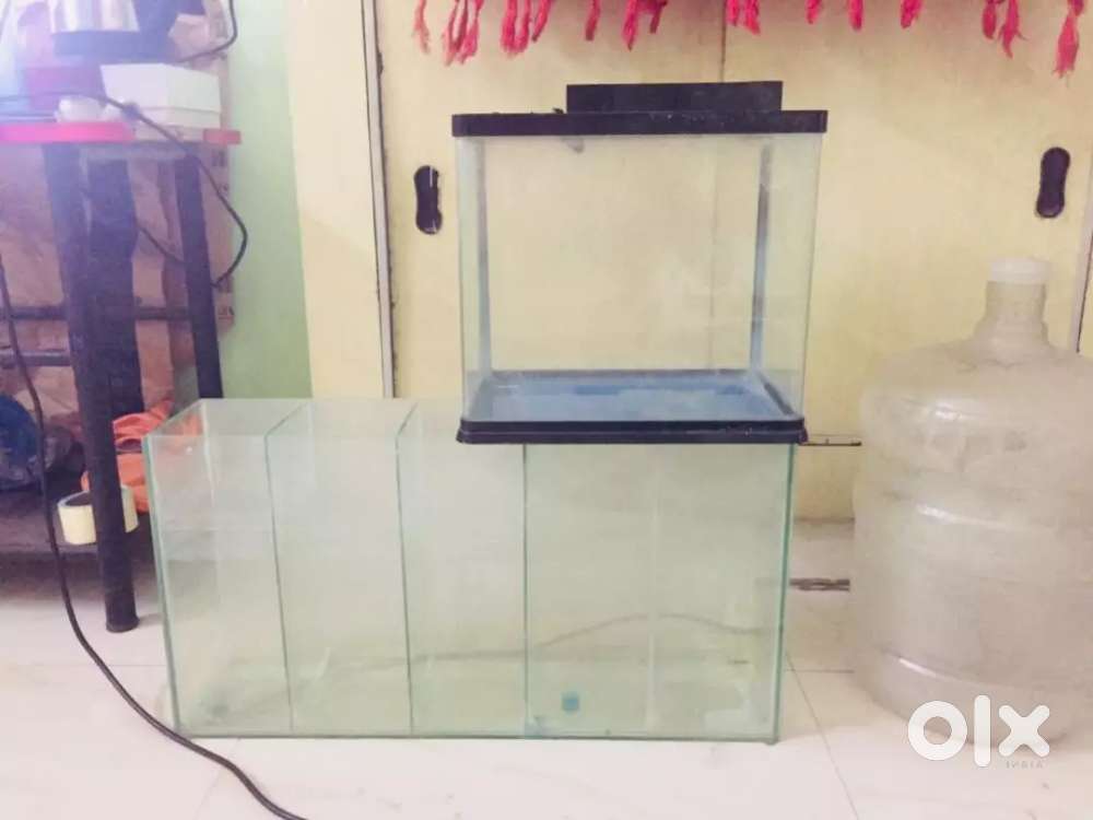 Imported tank and beta tank