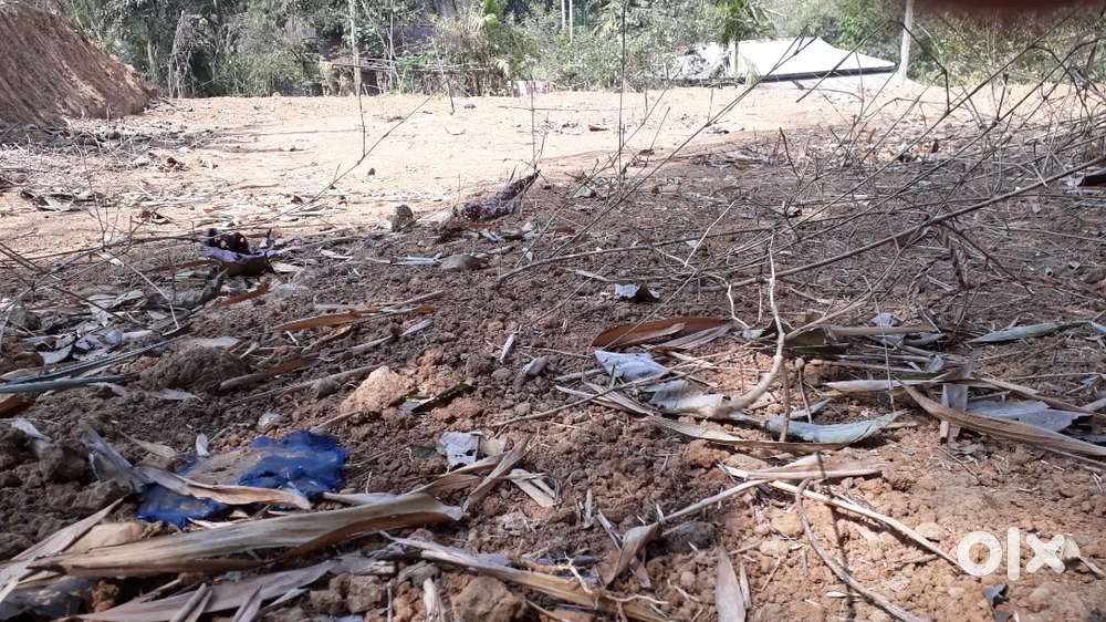 Urgent land sale in lumding Murabasti