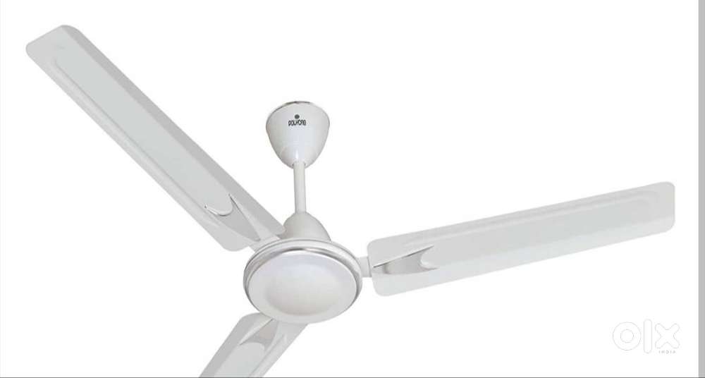 CEILING FAN FOR SALE