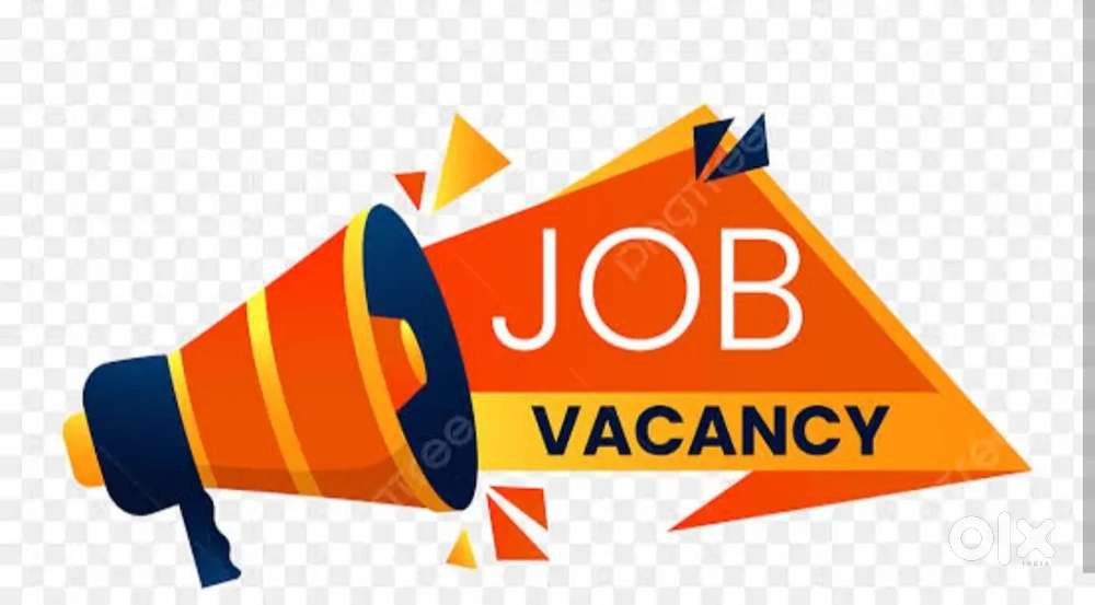 Required female telecaller and excetive only