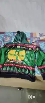 Wu-tang hoodie