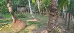 12.5 cent land for sale