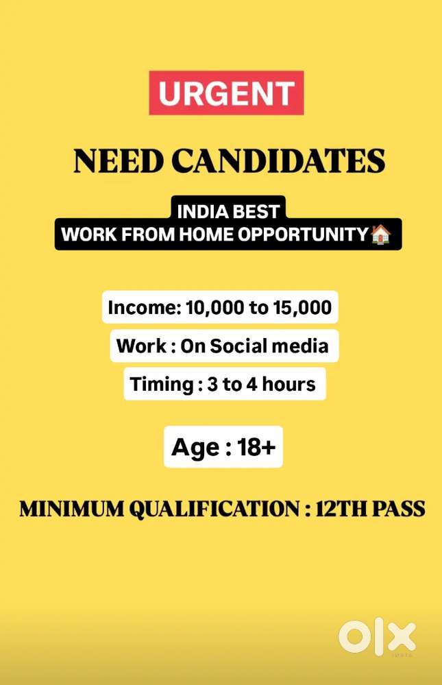 INDIA BEST WORK FROM HOME OPPORTUNITY