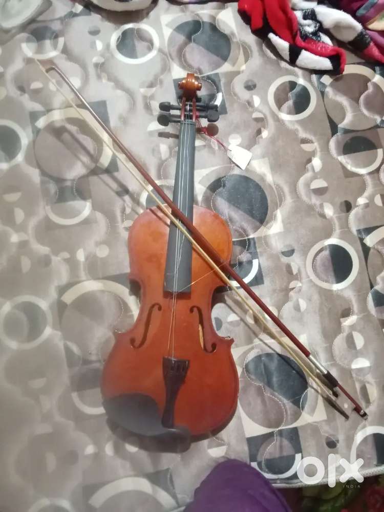 Voilin im not using this violine
