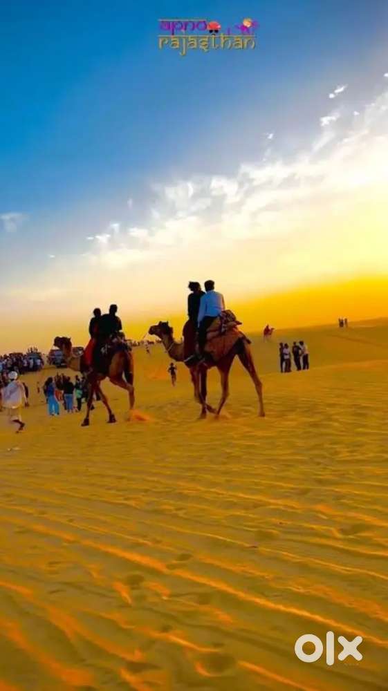 Rajasthan Tourism Packages Selling with incentives Experience Letter