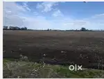 2 acre Agriculture land for sale near Unkal Hubli