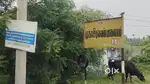 Erode to vellode chennimalai road mukasipulavan palayam