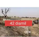 42 dismil plot available in very premium location hirak road