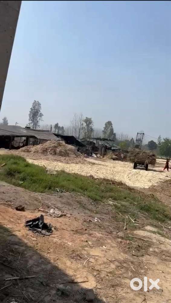 Land available for sale 12.5 bigah