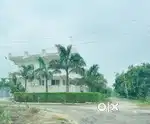 Complete Floor 3bhk + 2bhk Bachellors OK