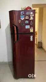 Godrej Double Door Fridge