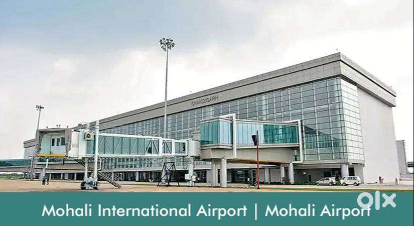 Airlines Urgent hiring at Mohali Airport
