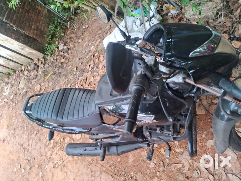 Mint Condition Honda Unicorn