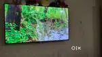 VU TV latest model