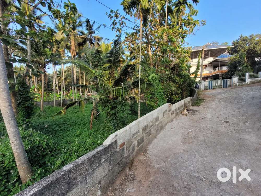 Plot for sale in puliyarakonam