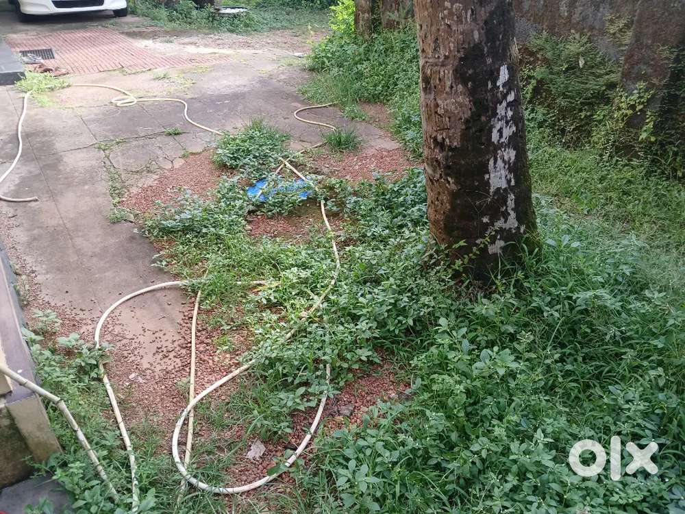 Chottanikkara main road 31 cent land sale