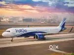 Fresher Candidate Apply Now Ground Staff job in IndiGo airlines