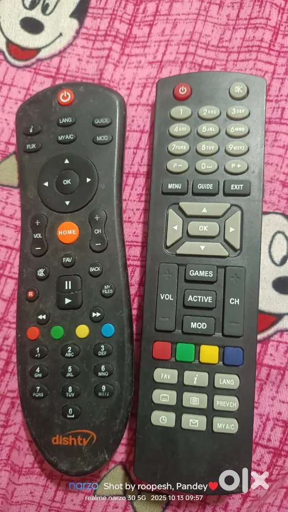 Dish TV remote