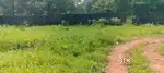 Residential plots for sale in Nellikunnu, Merlin garden,Thrissur.