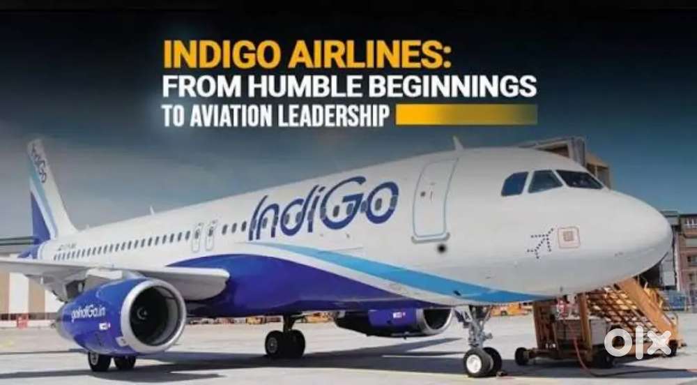 Indigo Airlines jobs /Vacancy for Airport Ground staf / Driver / Crew