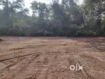 Alapuzha കലവൂർ ജംഗ്ഷനിൽ നിന്ന് പടിഞ്ഞാറു 900 m ദൂരത്തിൽ സ്ഥലം വില്പനക്