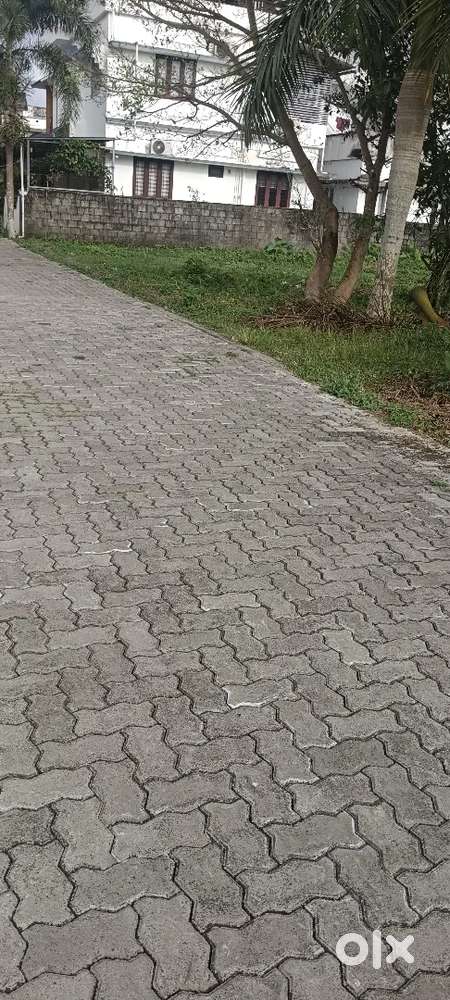 Aluva karumalloor 5 ct plot ct 5 lk