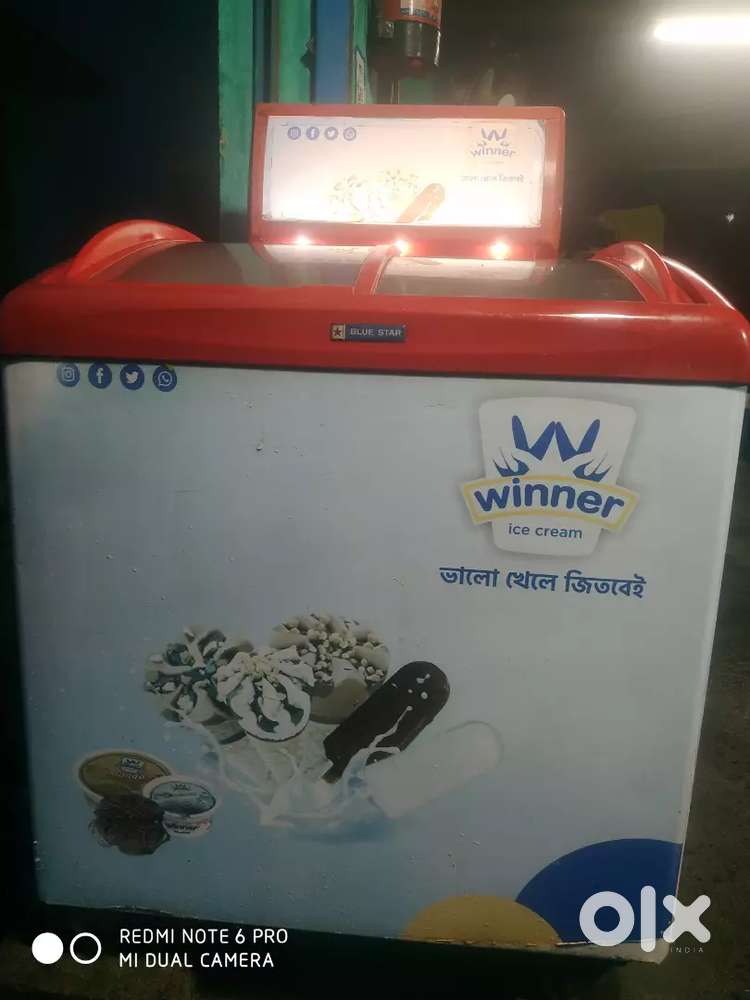 200 Ltr Deep Fridge for Sell With Winner icecream connection