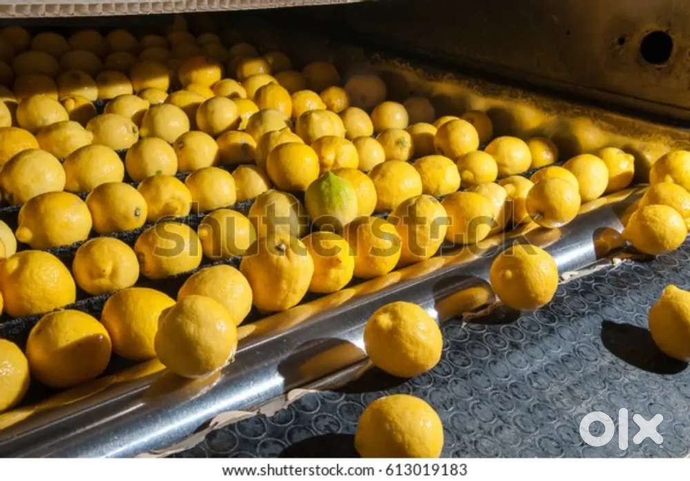 Wanted male packing warehouse helpers fir grocery and fmcg firm