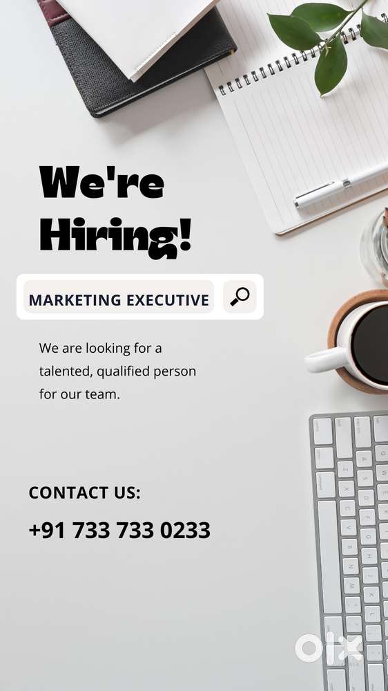 MARKETING EXECUTIVE