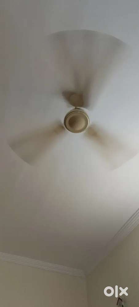 Ceiling fans