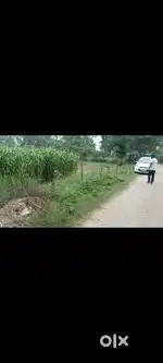Agriculture Land