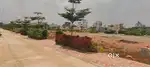 Whitefield