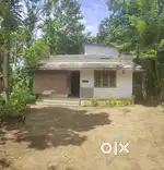 Land for Sale in Mannar