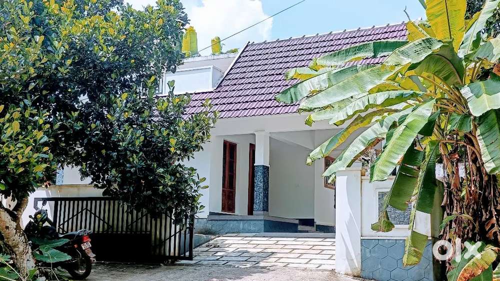 Puthuppally - ( chalumgalppadi ) 6 Cent , 1400 Sqft , 3 BHK New House