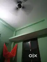 Ek room panter boy
