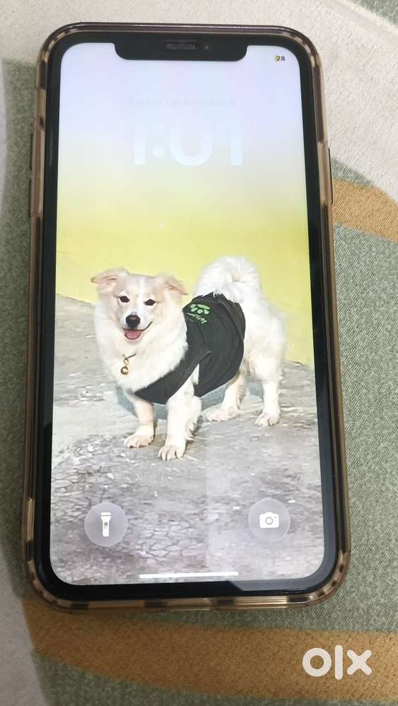 SELL I PHONE 11 GOOD CONDISATION ALL OK NO PROBLEM