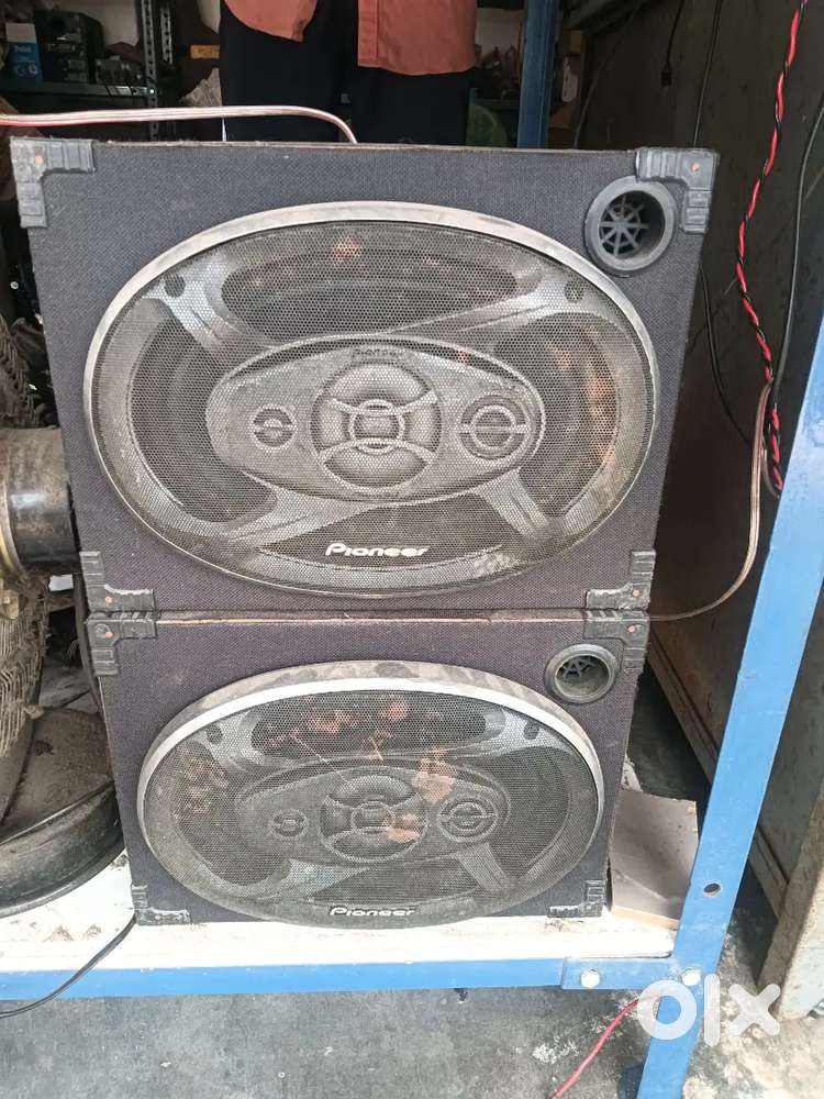 Pioneer ovel speaker