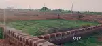 Bhubaneswar to 20 minutes distance Pitapalli location plot available.