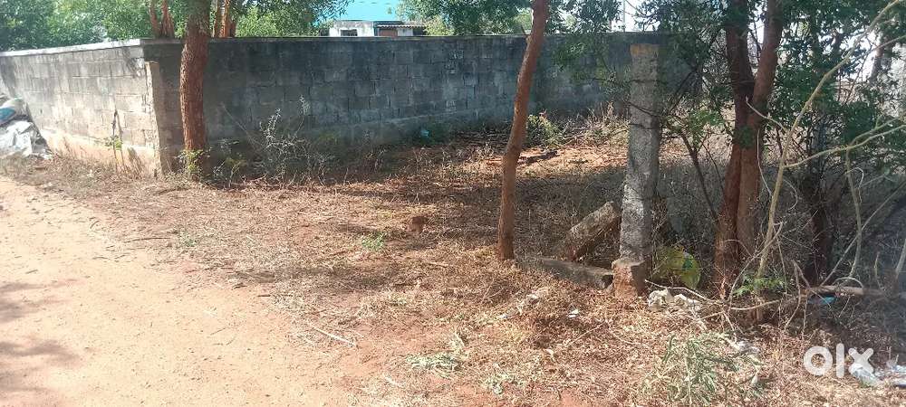 A plot near ZOHO in good water table area for sale