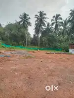 4.5 Cent Plot for sale near Parambil Bazar