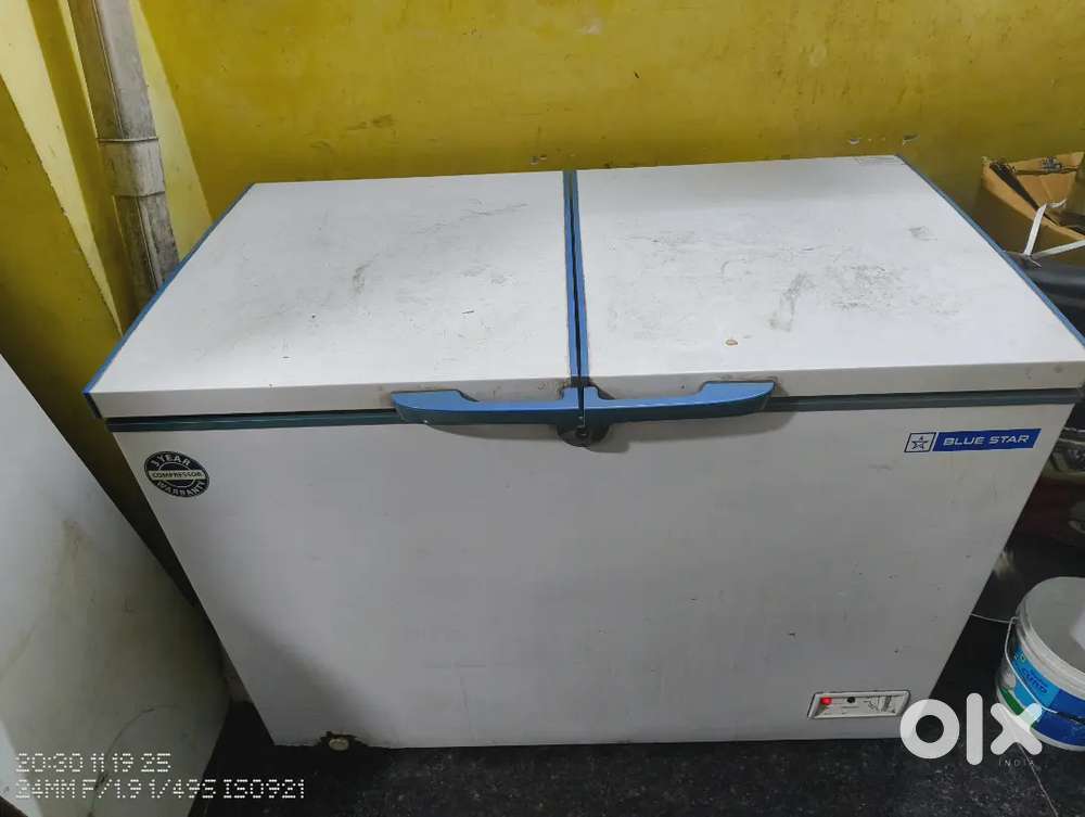 BLUE STAR DEEP FREEZER DOUBLE DOOR