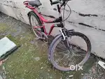 Hercules cycle