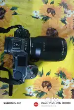 Nikon z6ii+85mm+50mm and FTZ adapter