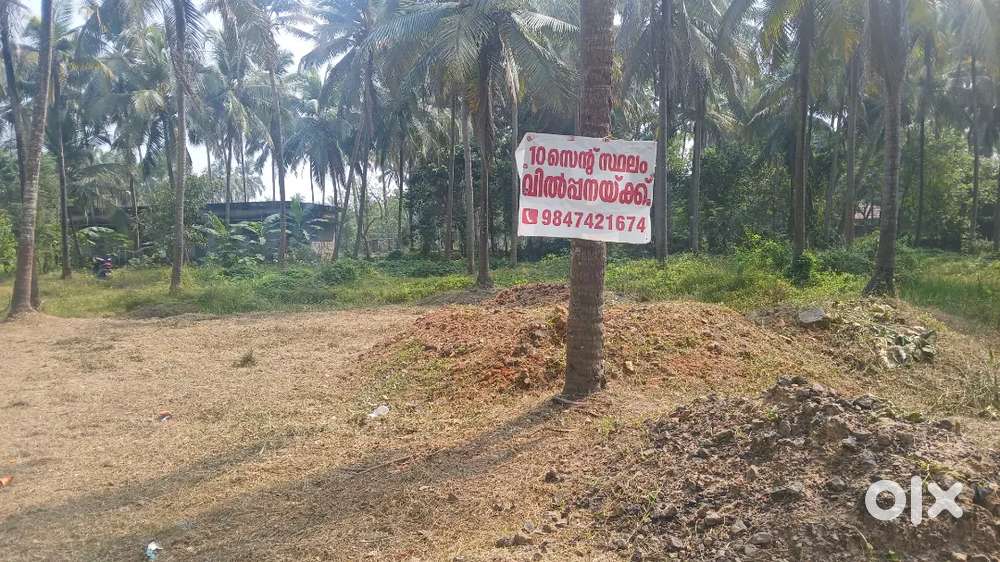 8 സെന്റ് സ്ഥലം വില്പനക്ക്