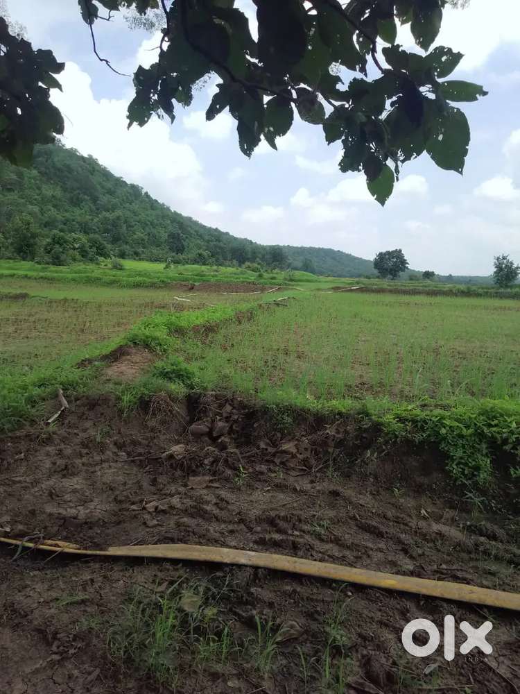 Khet teen fasal hoti h