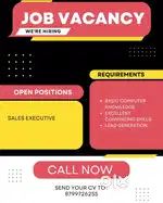 Sales executive